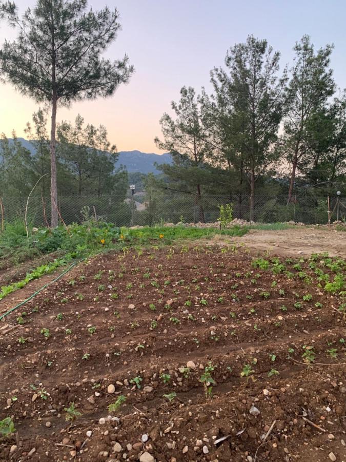 Maison Green Hill Hobbit Villas & Boutique Hotel Αττάλεια Εξωτερικό φωτογραφία